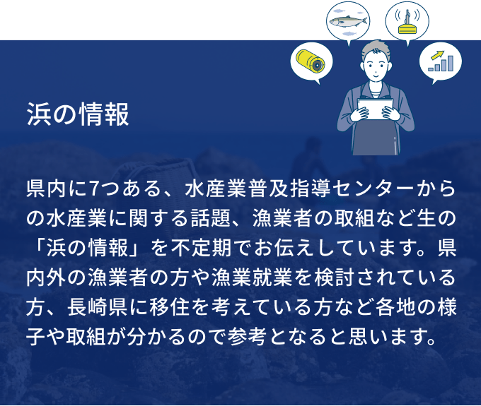 浜の情報